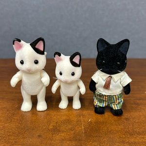 Small tuxedo, cat family